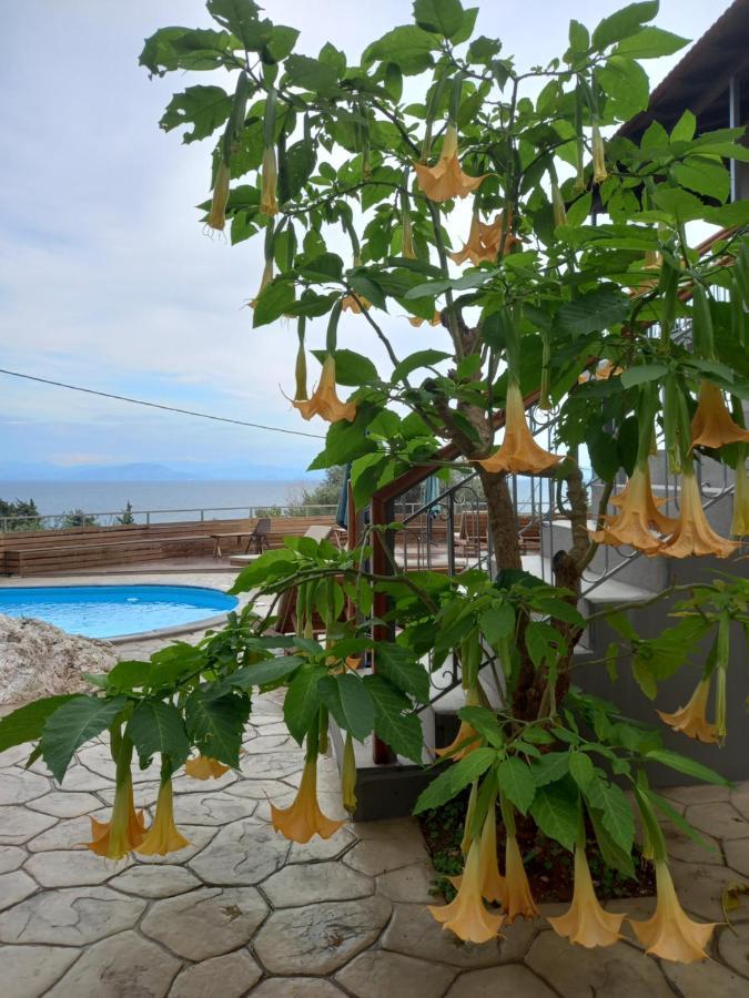 Seven Keys Luxury Suites Achílleion Eksteriør bilde